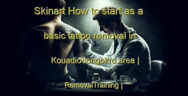 Skinart How to start as a basic tattoo removal in Kouadiodongokro area | RemovalTraining | RemovalClasses | SkinartTraining-Côte d Ivoire